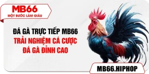 Đá Gà Trực Tiếp MB66 – Trải Nghiệm Cá Cược Đá Gà Đỉnh Cao