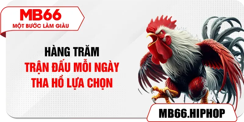 Hàng trăm trận đấu mỗi ngày tha hồ lựa chọn