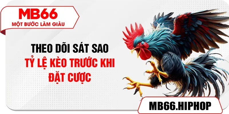 Theo dõi sát sao tỷ lệ kèo trước khi đặt cược